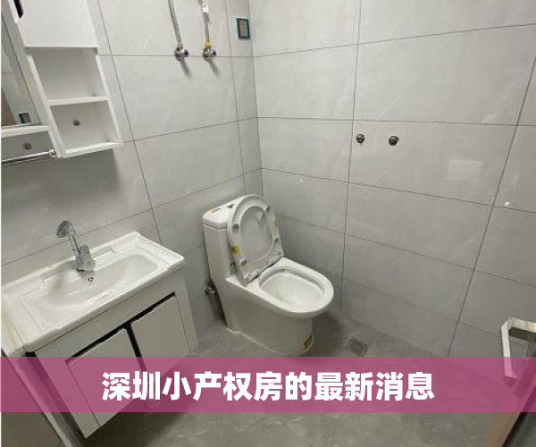 深圳小产权房的最新消息