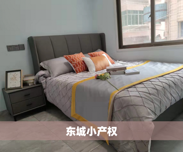 东城小产权 东城小产权