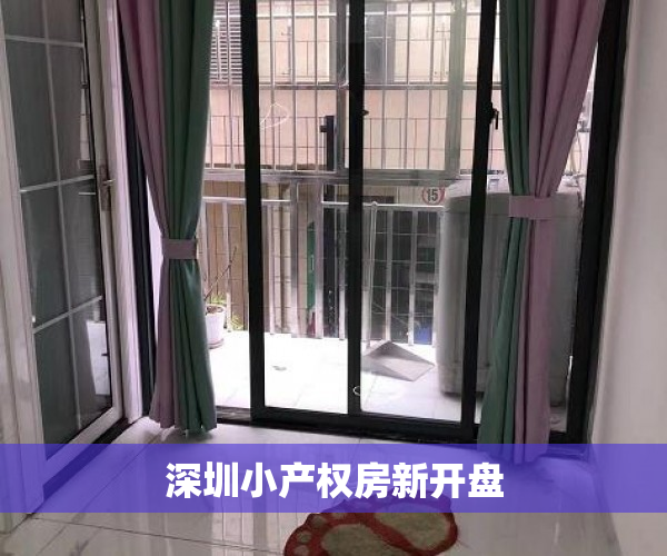 深圳小产权房新开盘 深圳小产权房新开盘