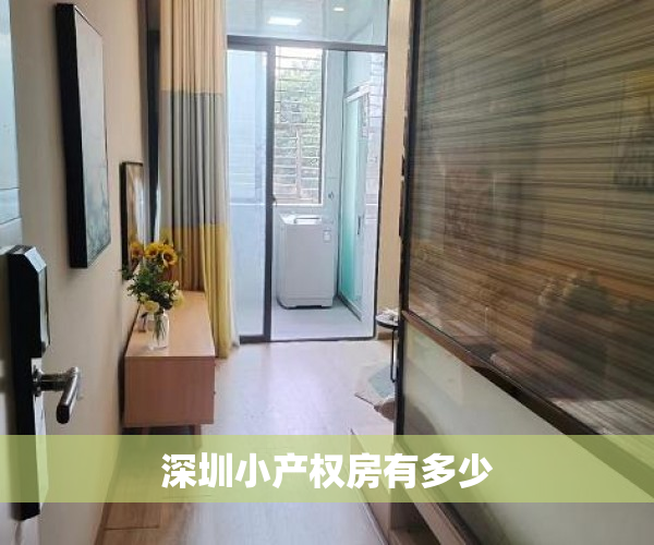 深圳小产权房有多少