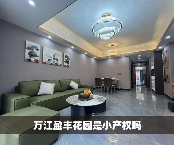 万江盈丰花园是小产权吗
