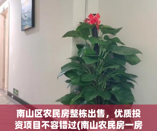 南山区农民房整栋出售，优质投资项目不容错过(南山农民房一房一厅)