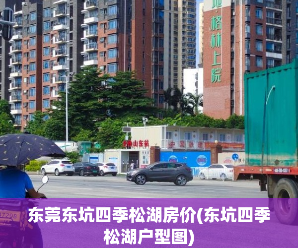 东莞东坑四季松湖房价(东坑四季松湖户型图)