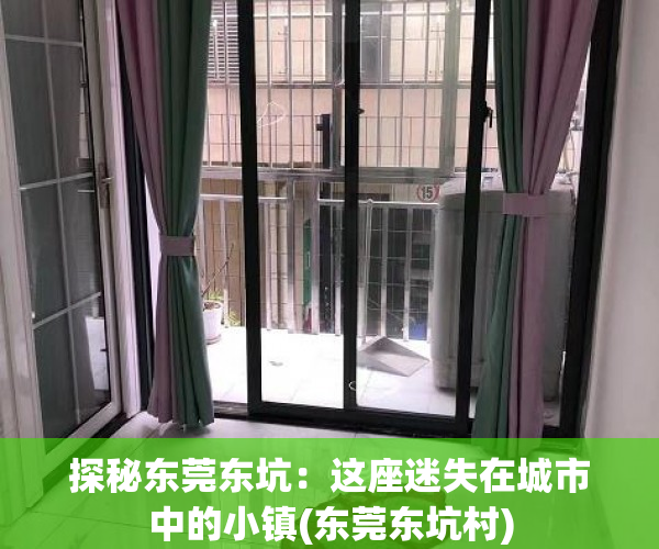 探秘东莞东坑：这座迷失在城市中的小镇(东莞东坑村)