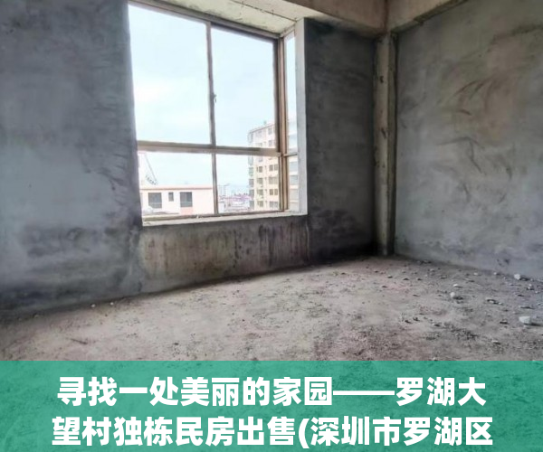 寻找一处美丽的家园——罗湖大望村独栋民房出售(深圳市罗湖区大望村有私房卖吗要多少钱)