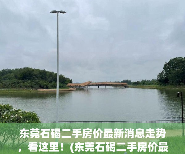 东莞石碣二手房价最新消息走势，看这里！(东莞石碣二手房价最新消息走势,看这里的房子)