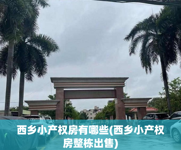 西乡小产权房有哪些(西乡小产权房整栋出售)