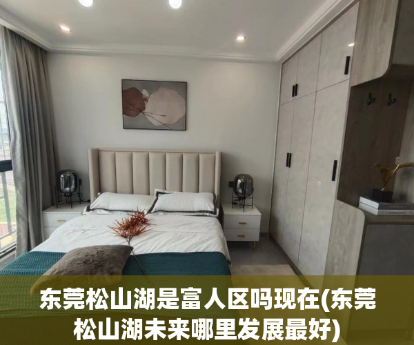 东莞松山湖是富人区吗现在(东莞松山湖未来哪里发展最好)