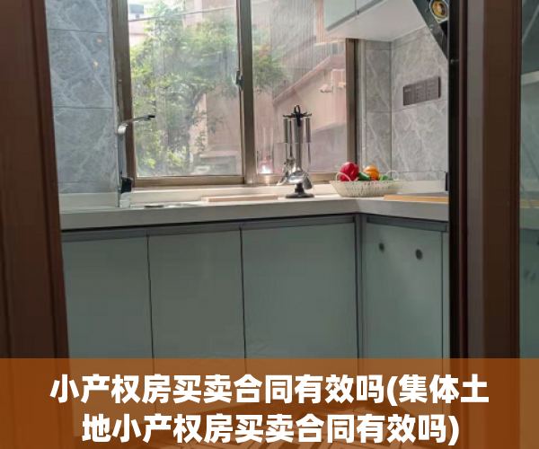 小产权房买卖合同有效吗(集体土地小产权房买卖合同有效吗)