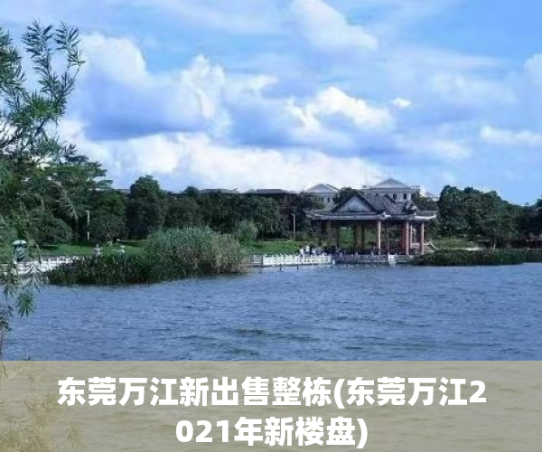 东莞万江新出售整栋(东莞万江2021年新楼盘) 东莞万江新出售整栋(东莞万江2021年新楼盘)