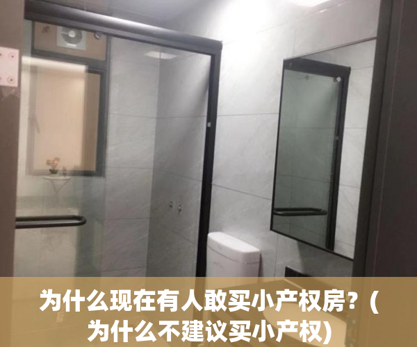 为什么现在有人敢买小产权房？(为什么不建议买小产权)