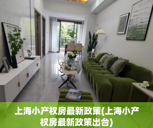 上海小产权房最新政策(上海小产权房最新政策出台) 上海小产权房最新政策(上海小产权房最新政策出台)