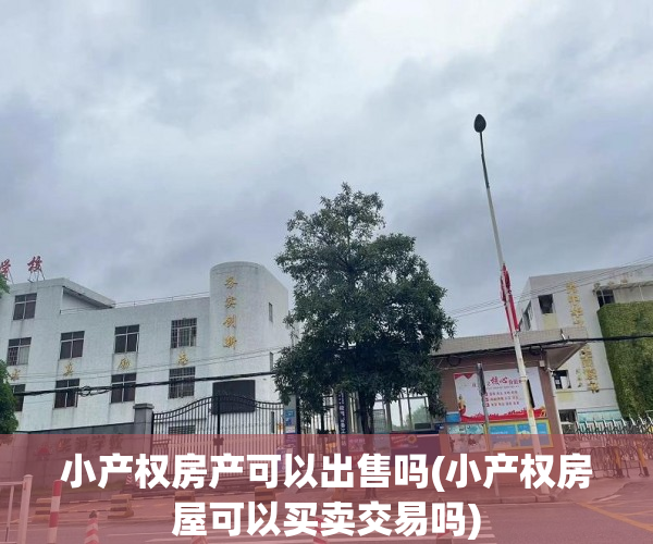 小产权房产可以出售吗(小产权房屋可以买卖交易吗) 小产权房产可以出售吗(小产权房屋可以买卖交易吗)