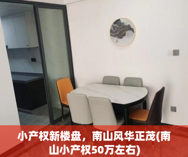 小产权新楼盘，南山风华正茂(南山小产权50万左右)