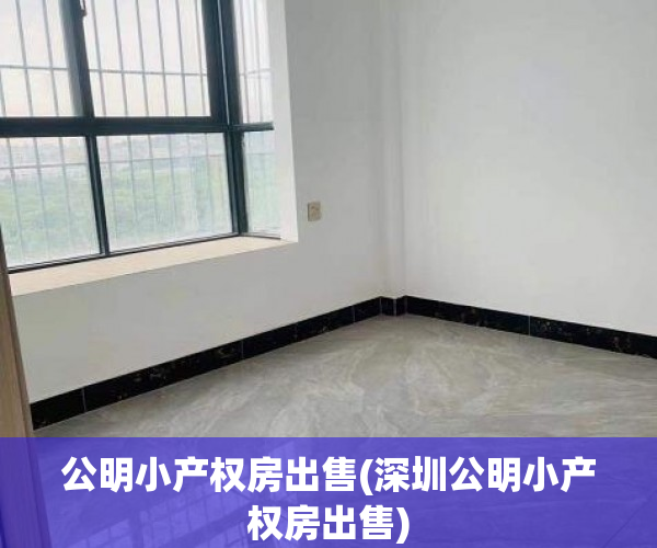公明小产权房出售(深圳公明小产权房出售) 公明小产权房出售(深圳公明小产权房出售)