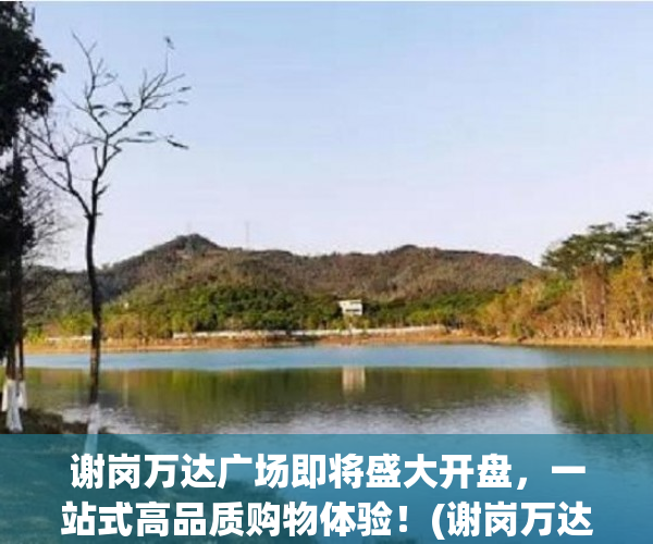 谢岗万达广场即将盛大开盘，一站式高品质购物体验！(谢岗万达建在什么地方吗)
