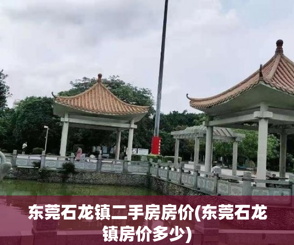 东莞石龙镇二手房房价(东莞石龙镇房价多少)