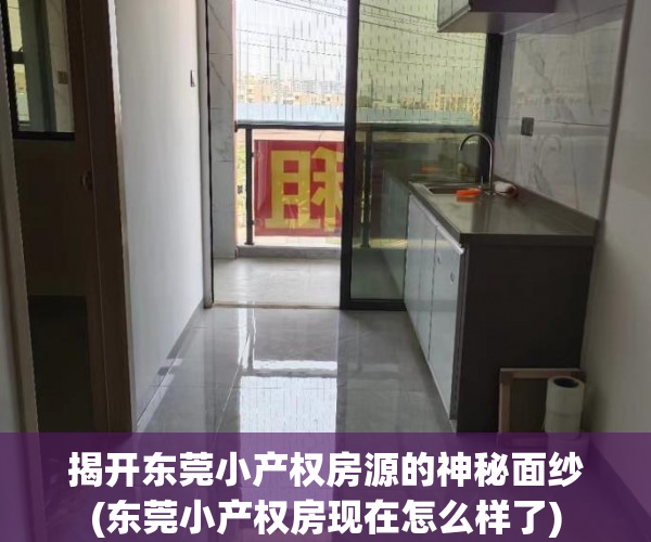 揭开东莞小产权房源的神秘面纱(东莞小产权房现在怎么样了)