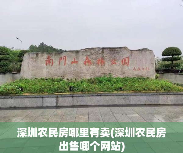 深圳农民房哪里有卖(深圳农民房出售哪个网站)