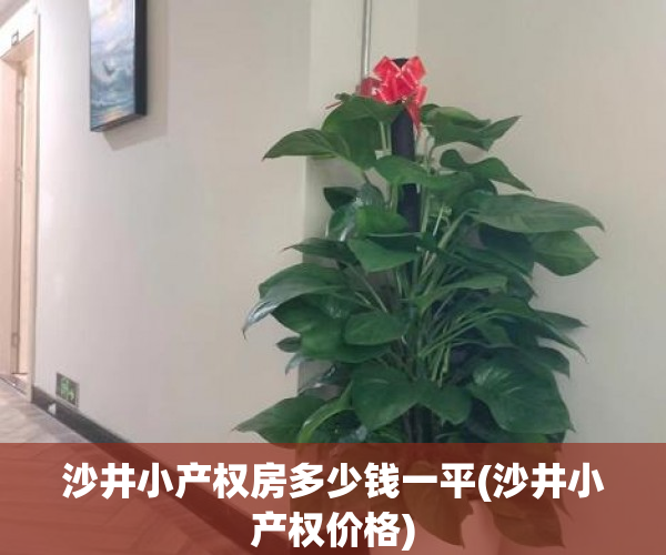 沙井小产权房多少钱一平(沙井小产权价格) 沙井小产权房多少钱一平(沙井小产权价格)