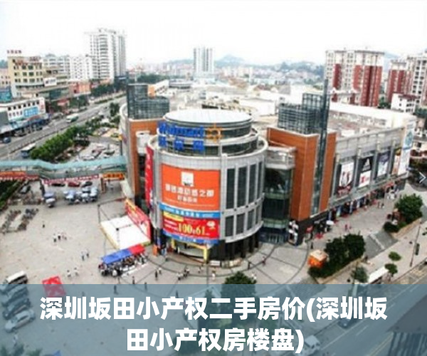 深圳坂田小产权二手房价(深圳坂田小产权房楼盘) 深圳坂田小产权二手房价(深圳坂田小产权房楼盘)