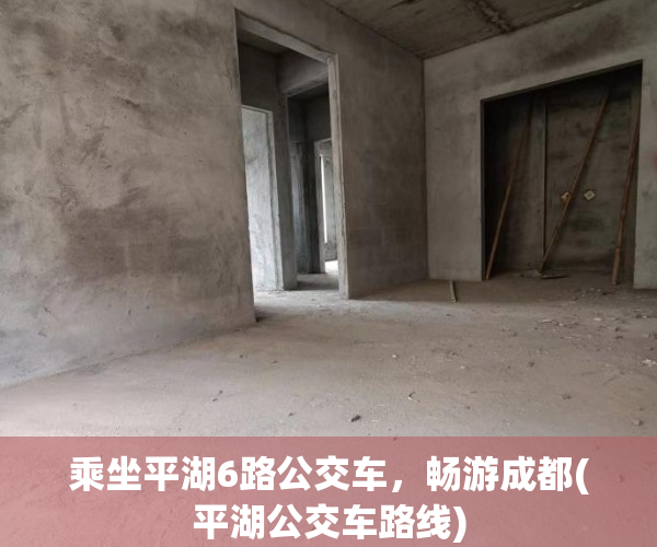 乘坐平湖6路公交车，畅游成都(平湖公交车路线)