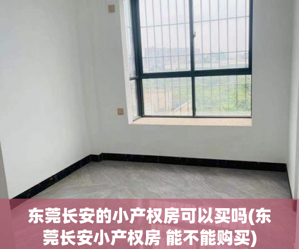 东莞长安的小产权房可以买吗(东莞长安小产权房 能不能购买)