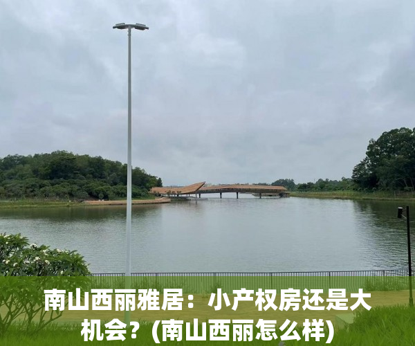 南山西丽雅居：小产权房还是大机会？(南山西丽怎么样)