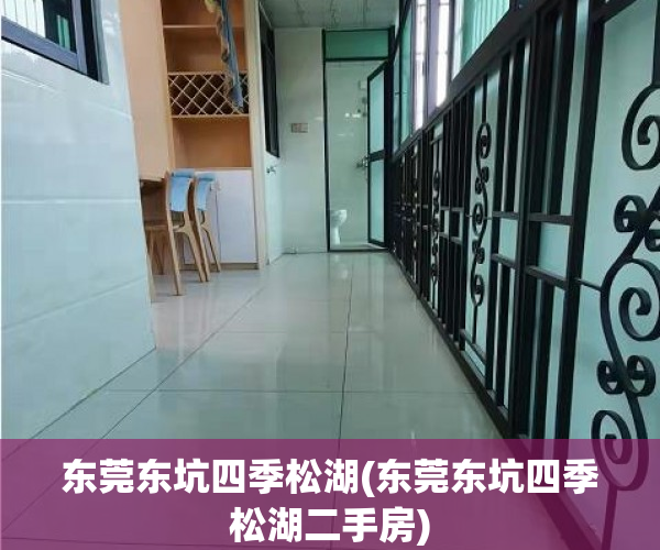 东莞东坑四季松湖(东莞东坑四季松湖二手房)