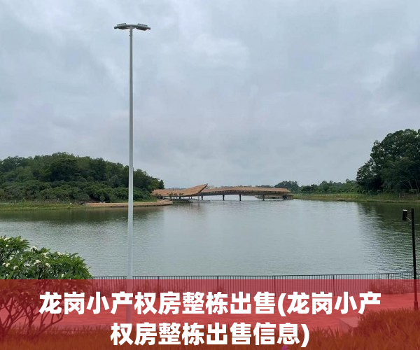 龙岗小产权房整栋出售(龙岗小产权房整栋出售信息)