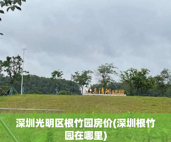 深圳光明区根竹园房价(深圳根竹园在哪里)