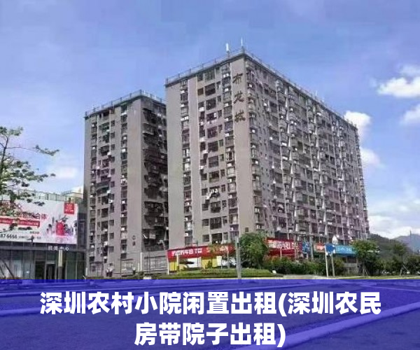 深圳农村小院闲置出租(深圳农民房带院子出租)