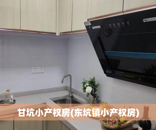 甘坑小产权房(东坑镇小产权房)