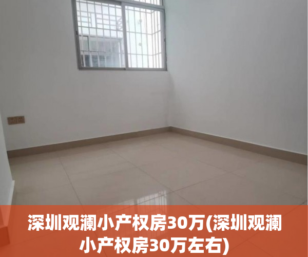 深圳观澜小产权房30万(深圳观澜小产权房30万左右)