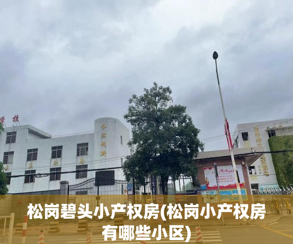 松岗碧头小产权房(松岗小产权房有哪些小区) 松岗碧头小产权房(松岗小产权房有哪些小区)