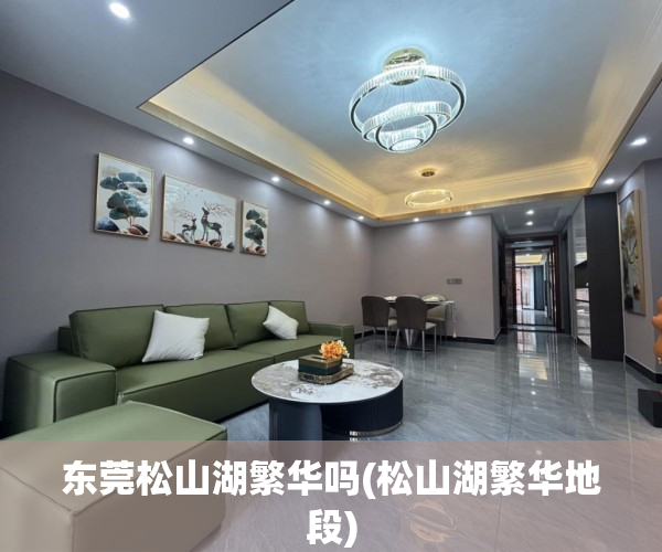 东莞松山湖繁华吗(松山湖繁华地段)