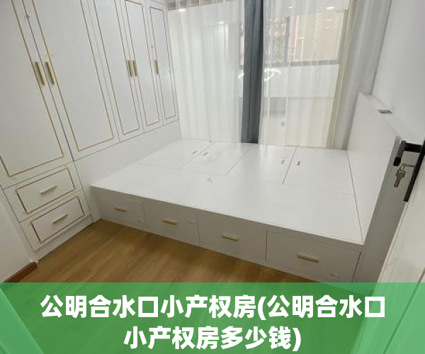 公明合水口小产权房(公明合水口小产权房多少钱)