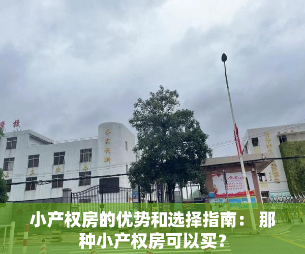 小产权房的优势和选择指南： 那种小产权房可以买？