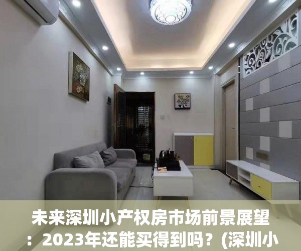 未来深圳小产权房市场前景展望：2023年还能买得到吗？(深圳小产权房的未来)