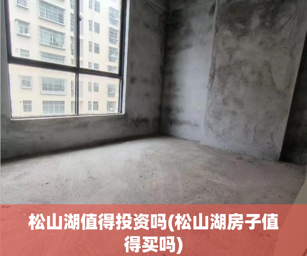 松山湖值得投资吗(松山湖房子值得买吗)