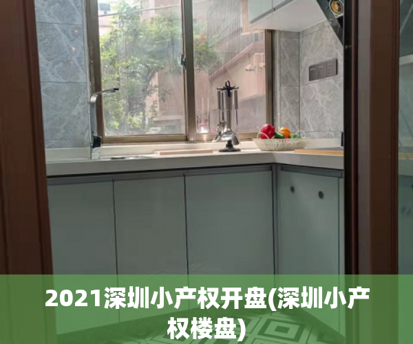 2021深圳小产权开盘(深圳小产权楼盘)