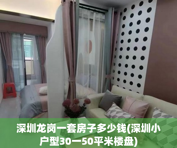 深圳龙岗一套房子多少钱(深圳小户型30一50平米楼盘)