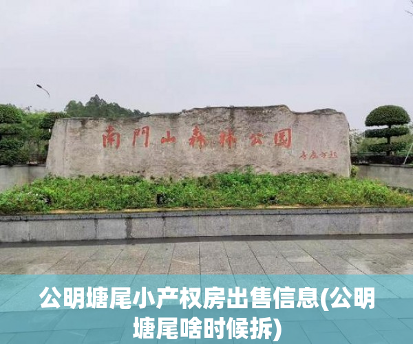 公明塘尾小产权房出售信息(公明塘尾啥时候拆)