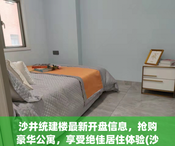沙井统建楼最新开盘信息，抢购豪华公寓，享受绝佳居住体验(沙井统建楼有哪些楼盘)