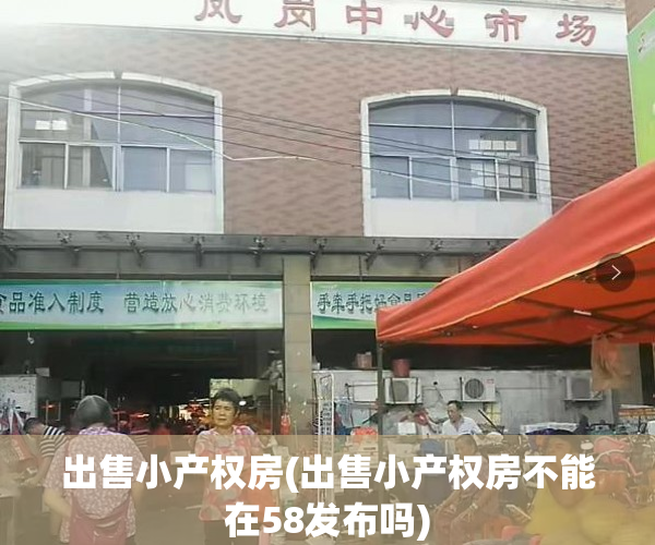 出售小产权房(出售小产权房不能在58发布吗)