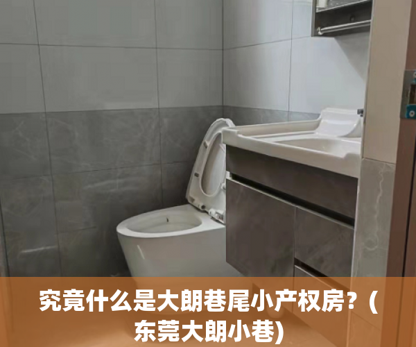 究竟什么是大朗巷尾小产权房？(东莞大朗小巷)