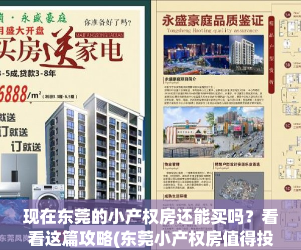 现在东莞的小产权房还能买吗？看看这篇攻略(东莞小产权房值得投资吗)