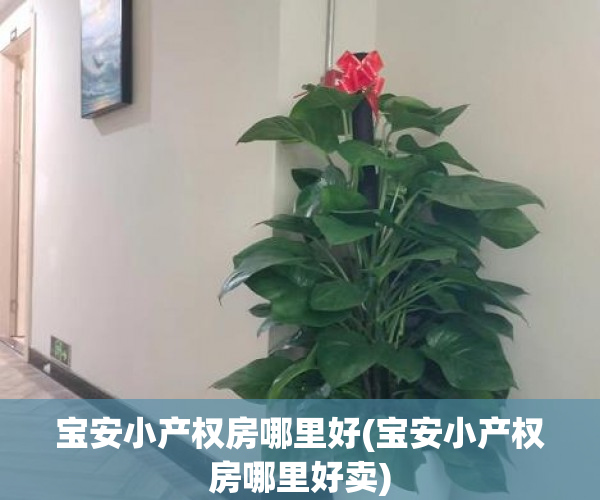宝安小产权房哪里好(宝安小产权房哪里好卖) 宝安小产权房哪里好(宝安小产权房哪里好卖)