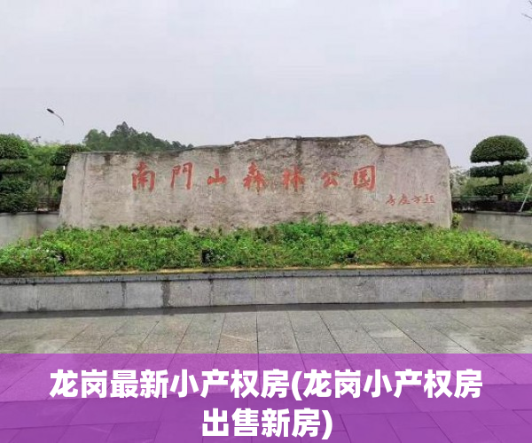 龙岗最新小产权房(龙岗小产权房出售新房)
