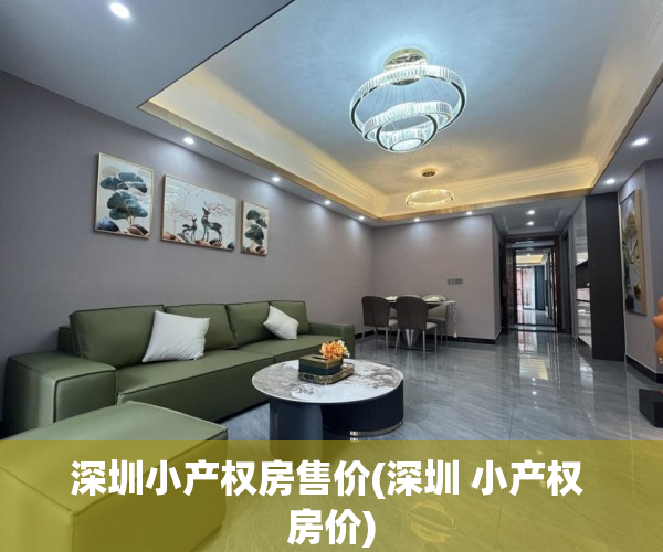 深圳小产权房售价(深圳 小产权 房价)